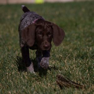 Meet your Posher, Gary